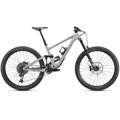 Bicicleta SPECIALIZED Enduro Expert - Gloss Dove Grey/Smk S4